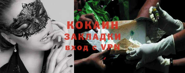 индика Бронницы