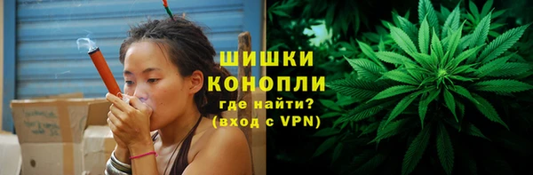 индика Бронницы