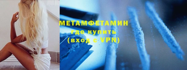 индика Бронницы