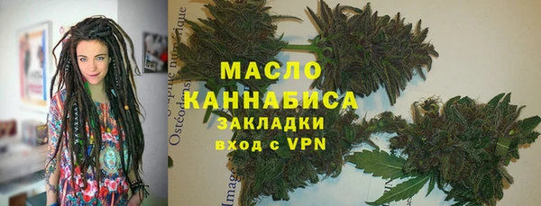 индика Бронницы
