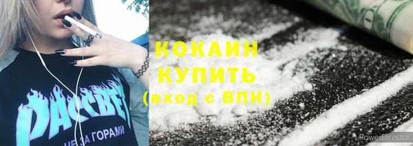 индика Бронницы