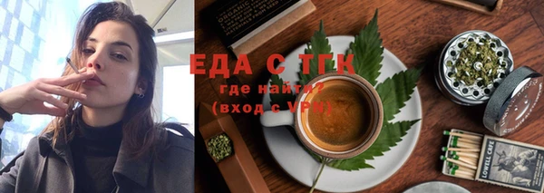 индика Бронницы
